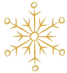 Weihnachtsstern
