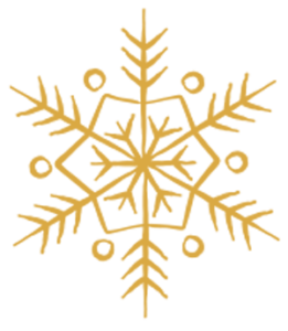 Weihnachtsstern
