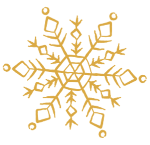 Weihnachtsstern